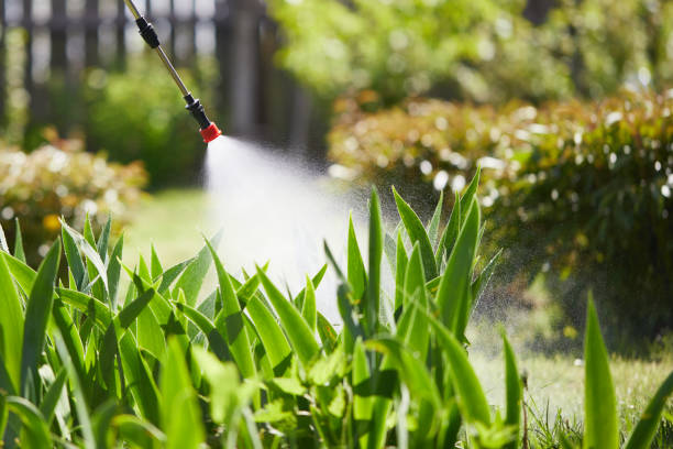 Tamper-Resistant Bait Stations for Rodents in Wilder