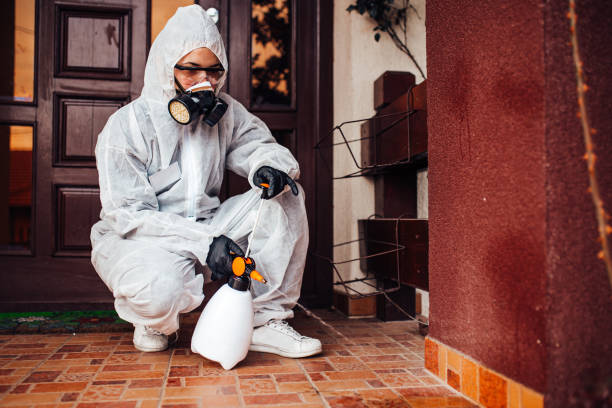 Attic and Crawl Space Rodent Treatment in Wilder