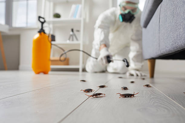 Commercial Rodent Management in Wilder